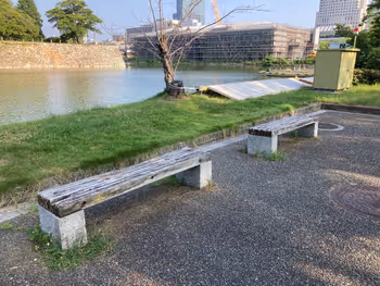 広島城 西側お堀端(遊覧船のりば付近)の写真1