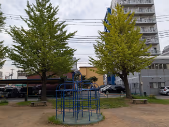今井公園の写真6