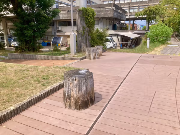 大手川ふれあい広場付近の写真2