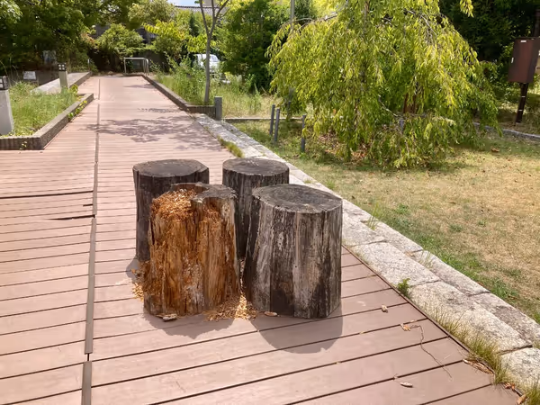 大手川ふれあい広場付近の写真1