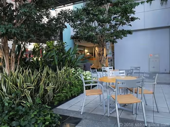 시반스 아 몰 수목 부근 테이블석