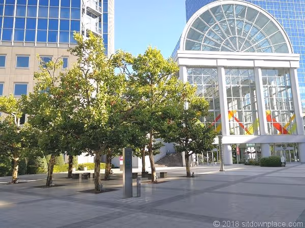芝浦運河沿緑地の写真2