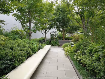 銀座シックス屋上庭園の長いベンチ