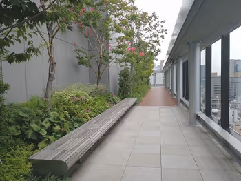 銀座シックス屋上庭園のガラス付近にある木製ベンチ