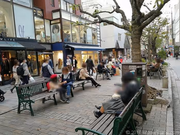 九品佛川绿道的休憩场所