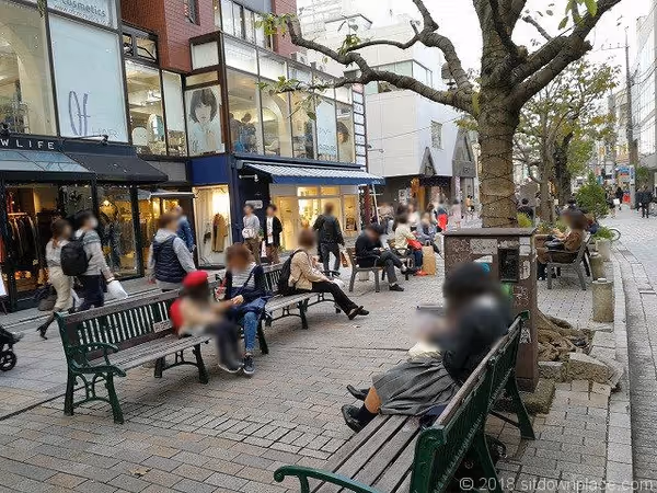 Photo de 九品仏川緑道のベンチ 5