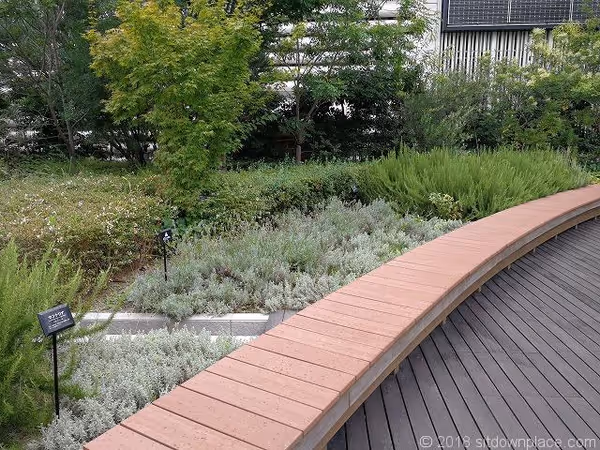 銀座三越 9F テラスガーデンの写真6