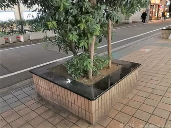 Bench near Tokyu, Kichijoji Street