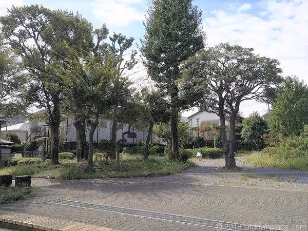 どんぐりひろば公園の写真2