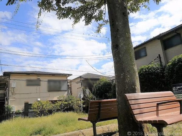 どんぐりひろば公園の写真6