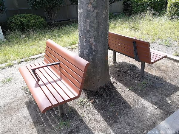 どんぐりひろば公園の写真3