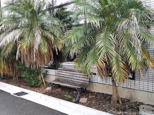 下北沢交番・セントラルスポーツ付近の写真2