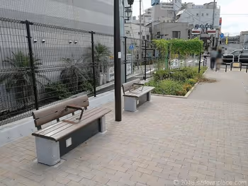 ベンチから北沢東通り方面の景観