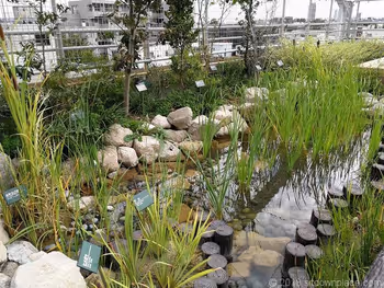 北澤Town Hall 5樓屋頂庭園的生物棲息地