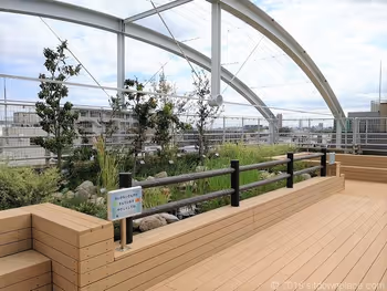 北澤Town Hall 5樓屋頂庭園的生物棲息地外觀