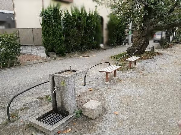 Foto von 北沢川緑道 4