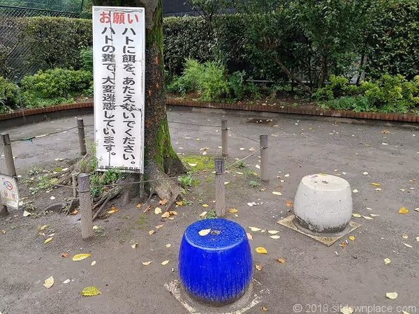 Photo of Gakugei-daigaku Station | Rest Spot at Takaban Children's Park 4