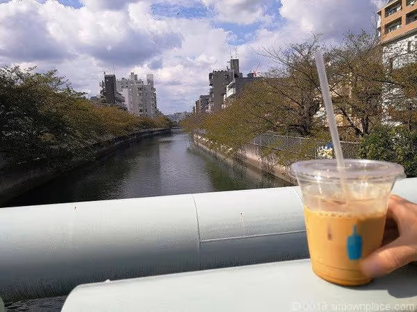 木更木橋 ブルーボトルコーヒー付近の写真6