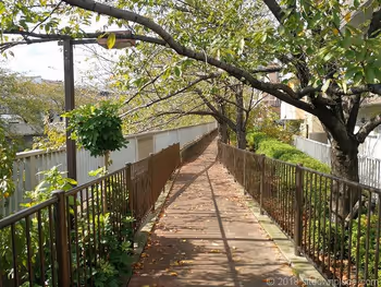 木更木橋的散步道