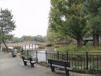 Bench near Ikegawa Bridge in Senzoku-ike