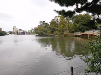 Scenery of Senzoku-ike Pond
