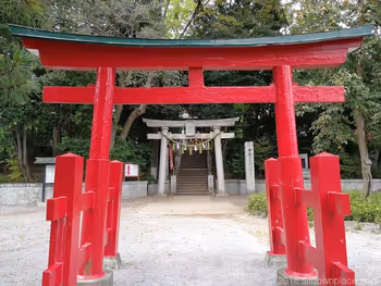 Torii gate of Senzoku Hachiman Shrine