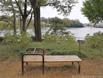 Abdominal exercise bench at Senzoku-ike