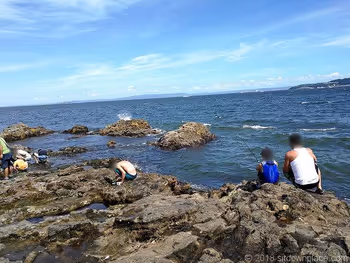 사루시마 오이모노하나의 낚시・갯벌 관찰