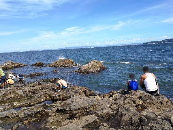 Photo of sarushima | Oimono Hana Plaza (Near the Ruins of the Daiba) Rest Spot 5