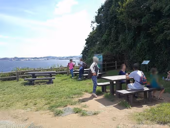 사루시마 오이모노하나의 테이블석