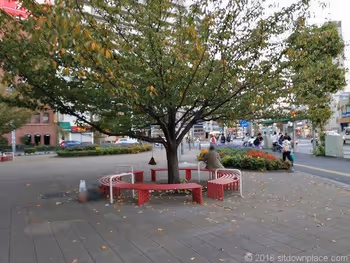 王子駅前公園の円形ベンチ