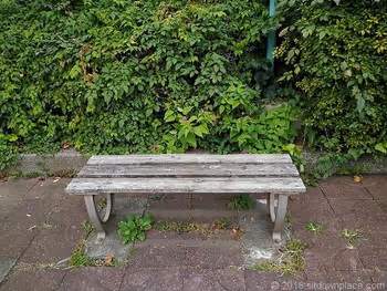 Bench on Jakuzuregawa Greenway