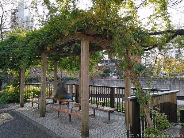 目黒川 田楽橋付近の休憩所の写真5
