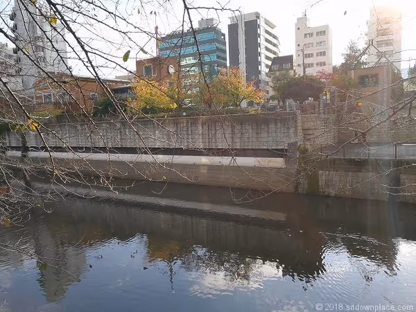 Photo of Nakameguro Station | Rest Spot in Front of Meguro River Boat Landing 5