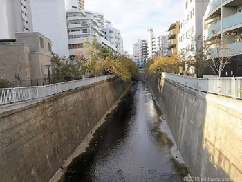 View of the Meguro River from the boat entrance