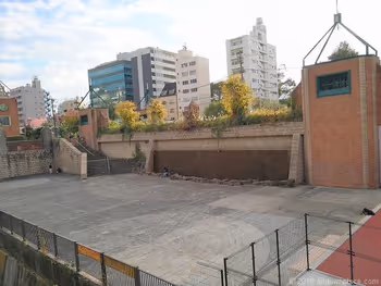 河川资料馆里像青蛙一样的罐子