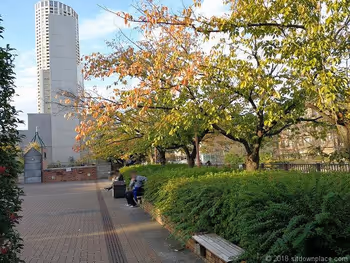 目黑川船入场的广。