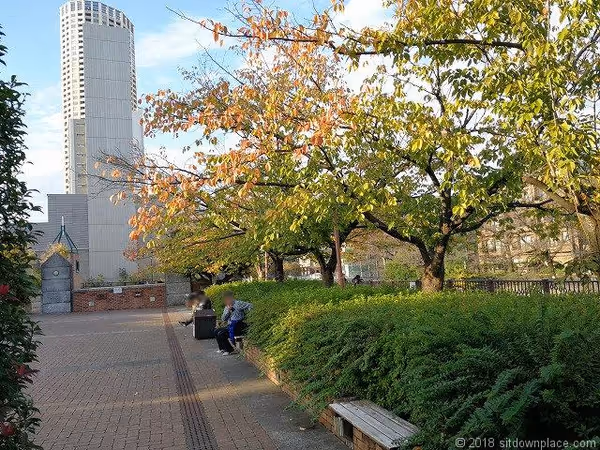Photo of Nakameguro Station | Meguro River Boat Landing Plaza Rest Spot 4
