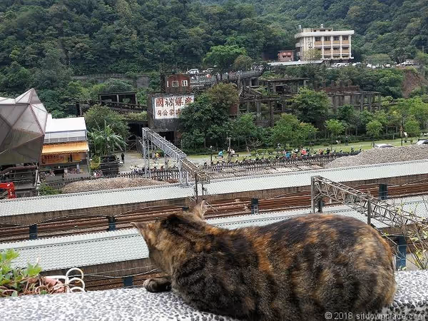 ホウトン猫村 連絡通路の写真1