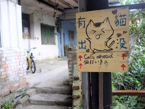 ホウトン猫村 連絡通路の写真6