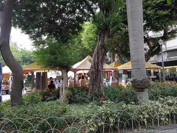 永康公園のベンチ正面の景観