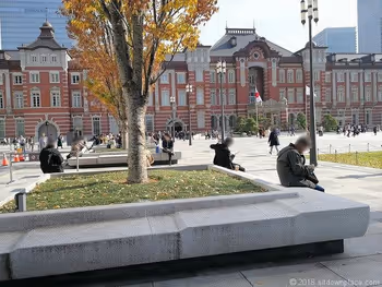 丸の内駅前広場の東京駅が見えるベンチ