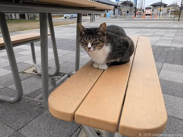 南口駅前交番付近の写真3