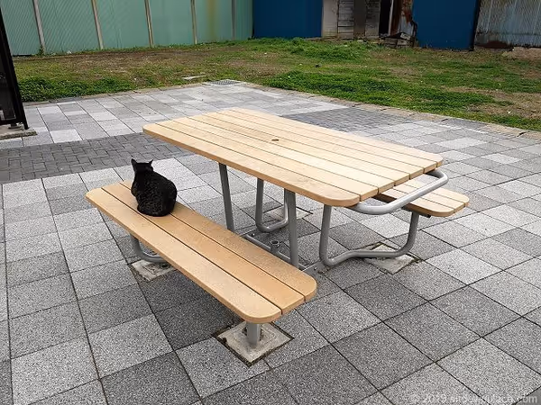 南口駅前交番付近の写真1