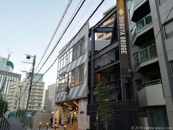 渋谷ブリッジの写真4