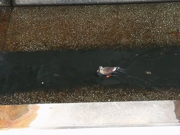 Photo of Shibuya Station | Shibuya Stream 1F Rest Spot at Konōbashi Plaza 6