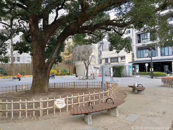 練成公園アーツ千代田3331前の大木周辺のベンチ