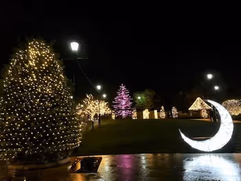 アメリカ山公園のイルミネーション