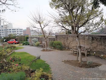 アメリカ山公園の丘のベンチ