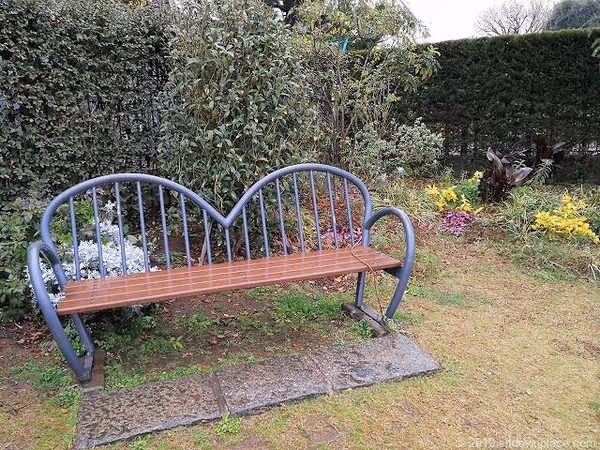 ブラフ99ガーデンの写真3